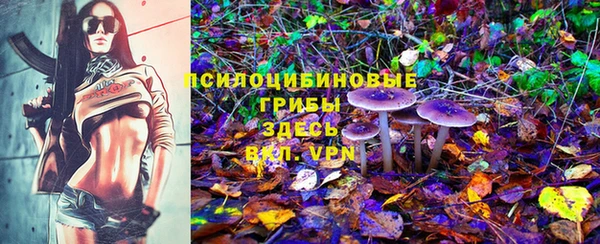 герыч Майский