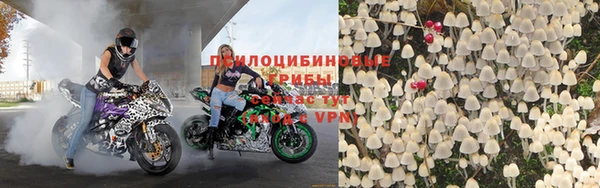 гашик Магадан